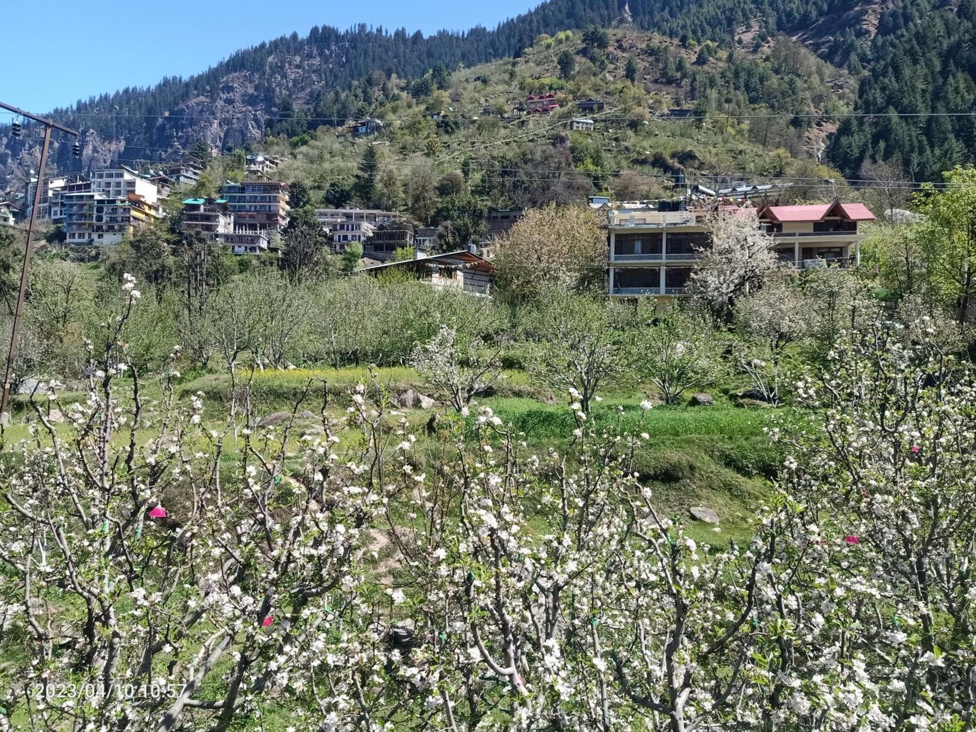 Lotus Retreat Villa Manali  Luaran gambar